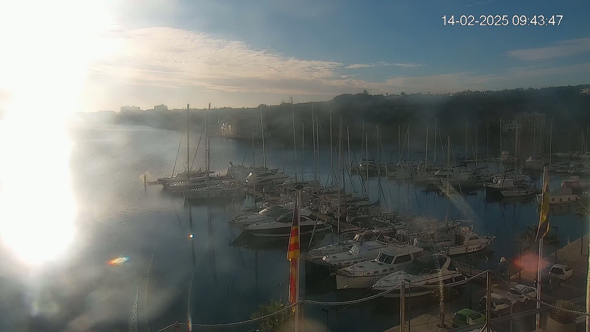 Many boats are docked in a marina on a partly sunny morning with some fog or mist in the distance.