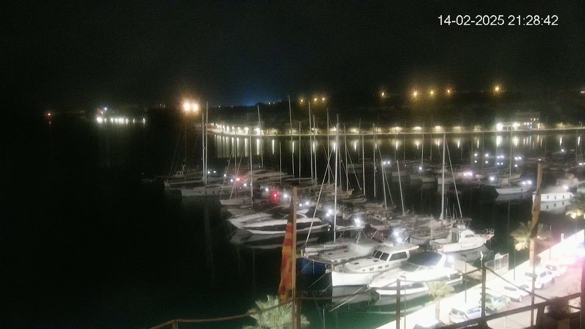 A nighttime view of a marina filled with docked boats, illuminated by lights along the shoreline under a clear, dark sky.