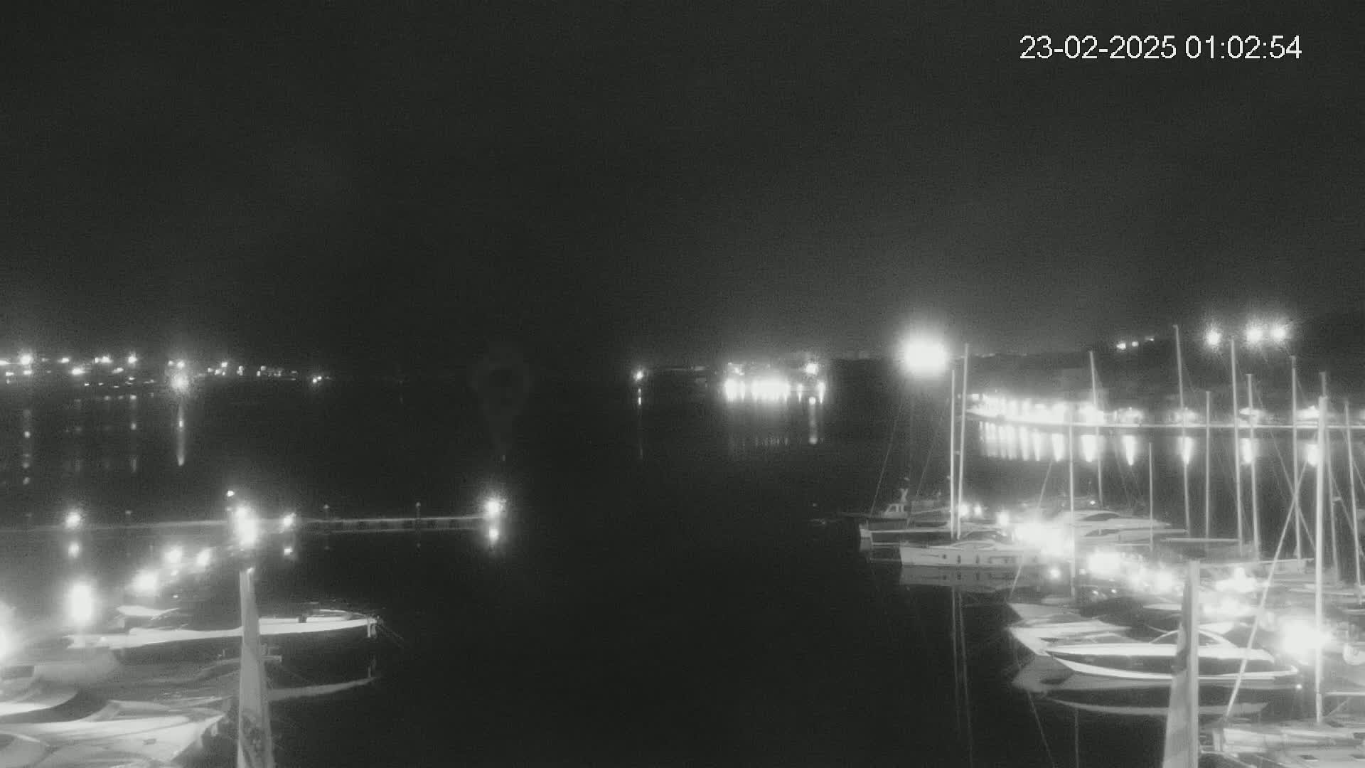 A nighttime view of a marina filled with boats, illuminated by lights, under a dark, clear sky.