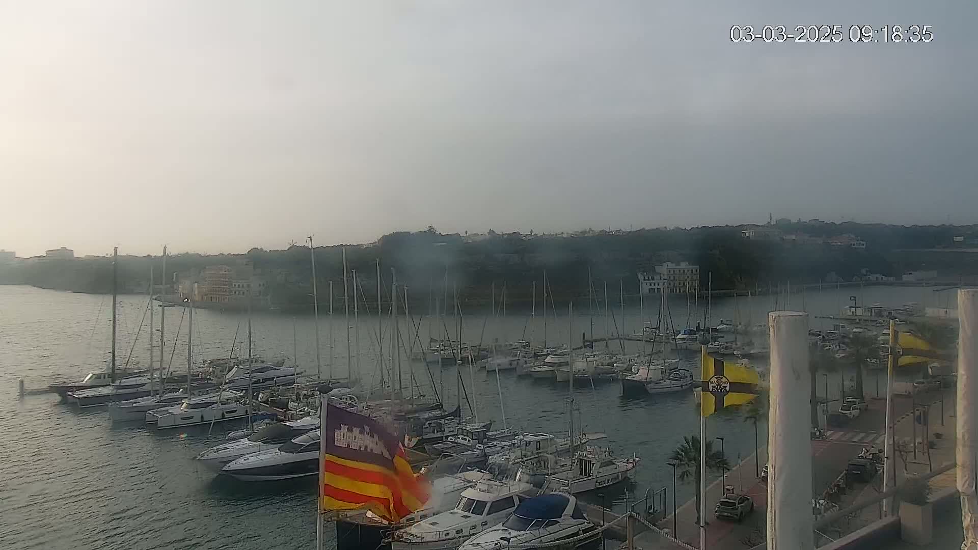 A hazy marina filled with numerous sailboats and motor yachts is seen from an elevated vantage point.