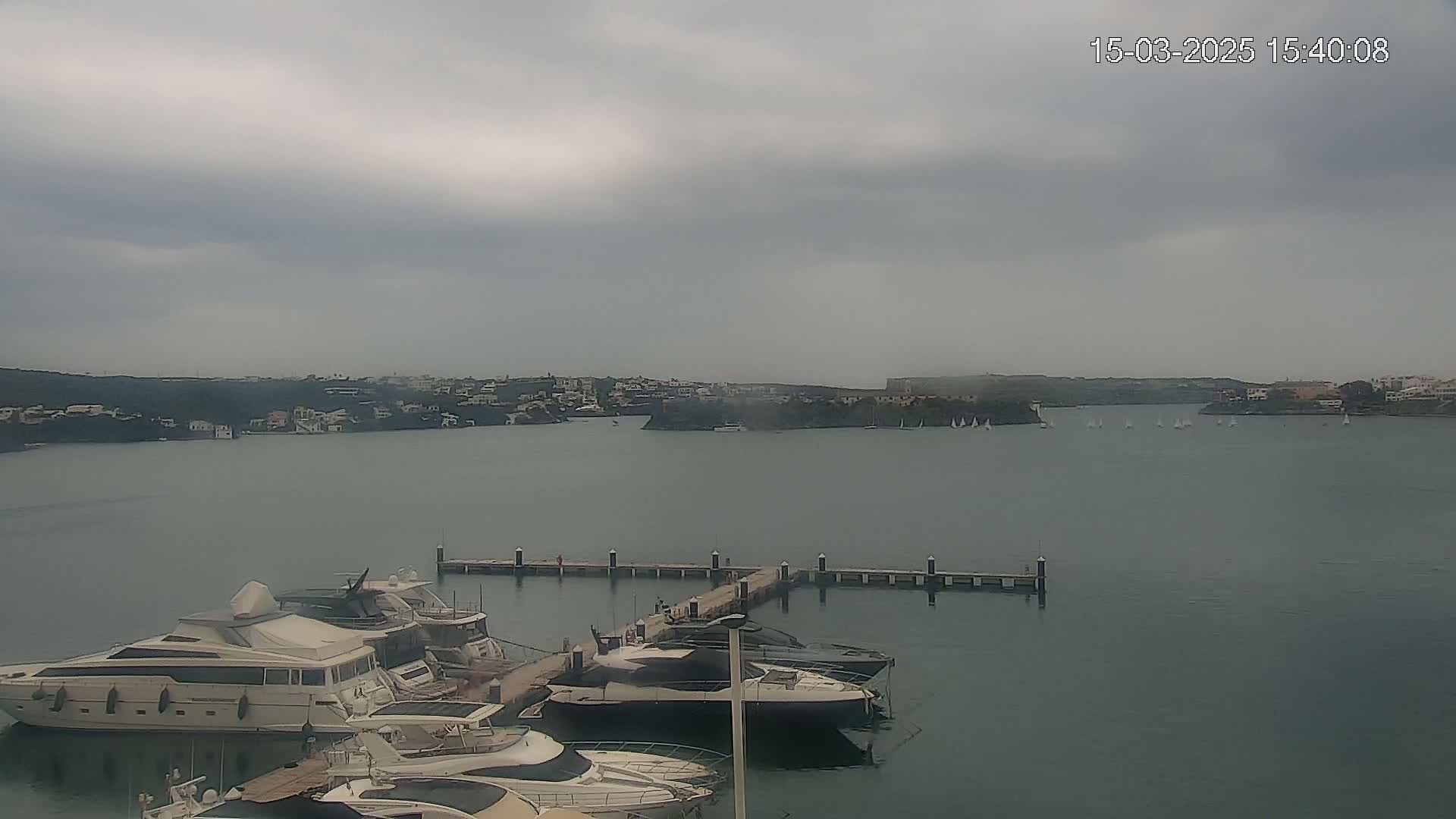 Several yachts are docked at a marina on calm, gray water under an overcast sky, with a distant shoreline visible.
