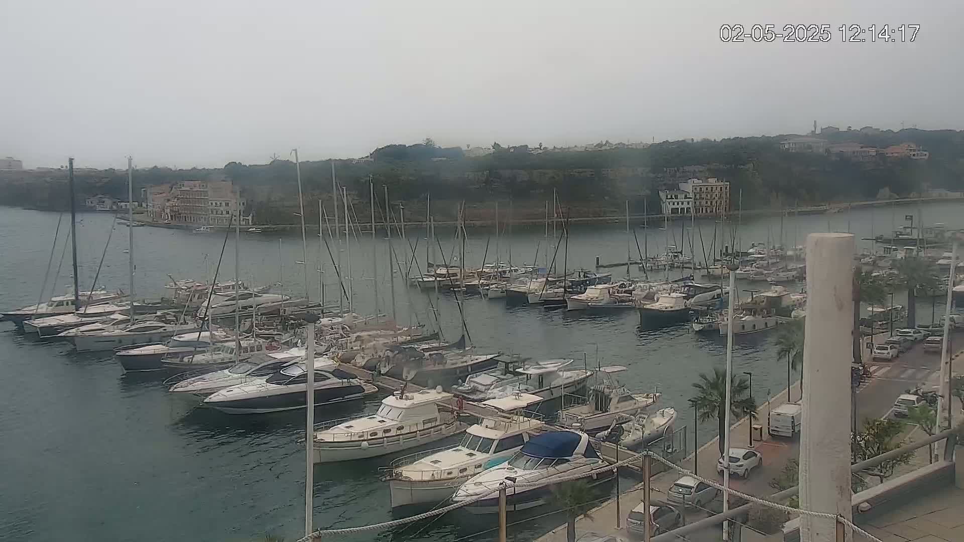 Many boats are docked in a marina on an overcast day, with buildings and a road visible in the background.