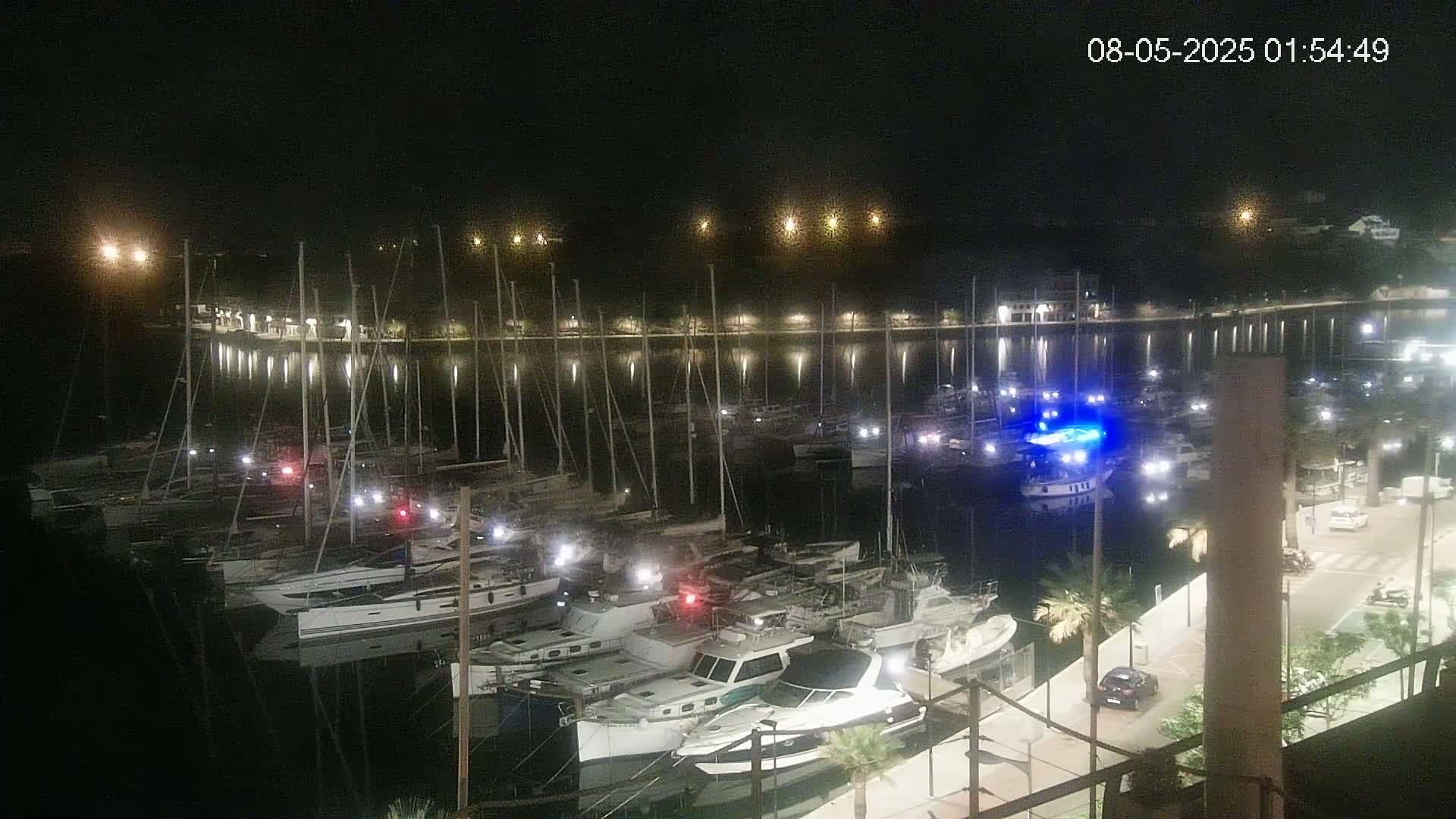 A nighttime view of a marina filled with docked boats, illuminated by lights along the waterfront under a clear, dark sky.