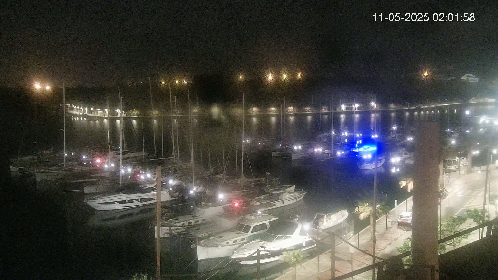 A nighttime view of a marina filled with docked boats, illuminated by lights along the waterfront.