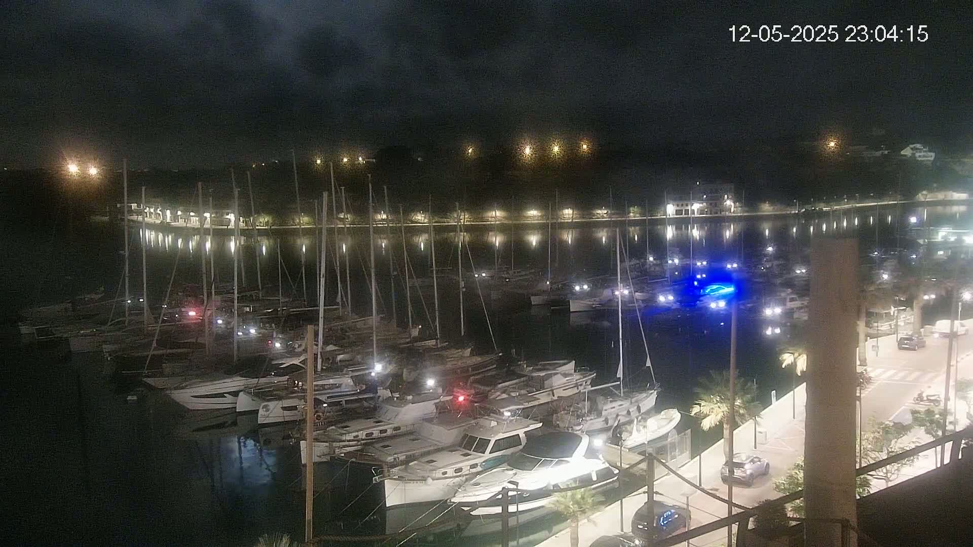 A nighttime view of a marina filled with docked boats under a partly cloudy sky, with a roadway and palm trees visible along the shore.