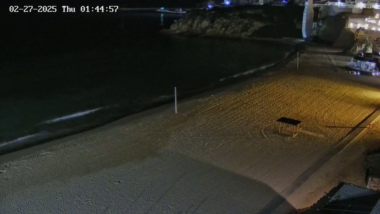 A sandy beach at night is shown with gentle waves lapping the shore under a dark sky.