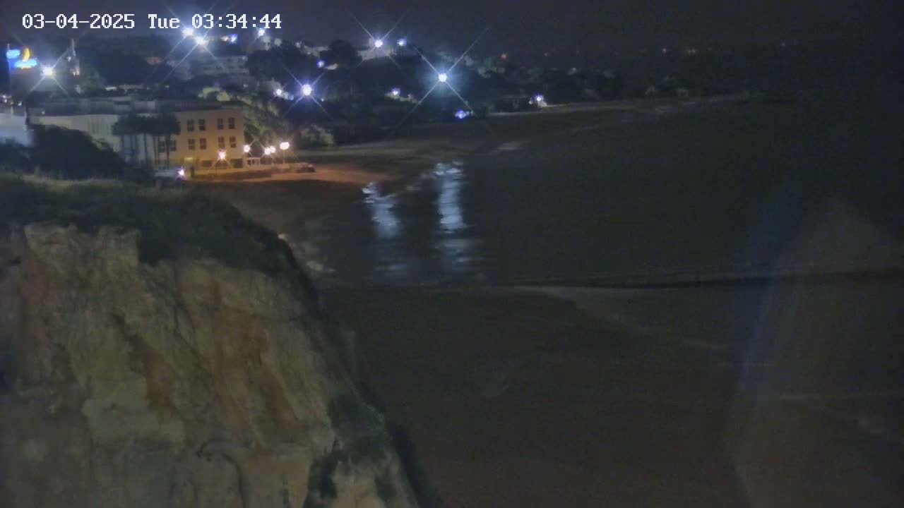 A nighttime view from a cliff overlooking a dark beach and buildings with lights illuminated.