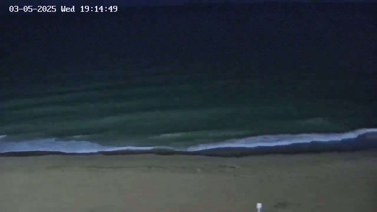 A dark-colored ocean with small waves rolls onto a sandy beach at night.