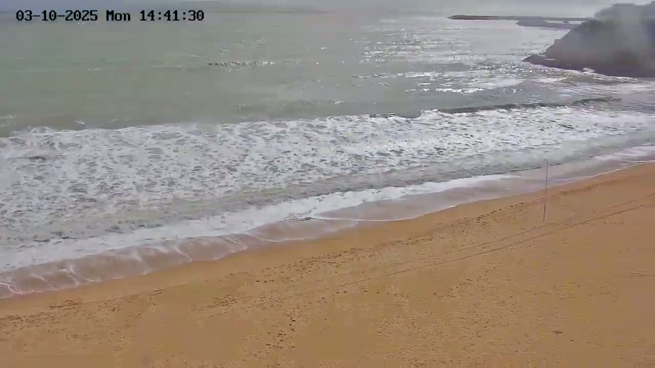 A sandy beach meets a sea with moderate waves under an overcast sky.