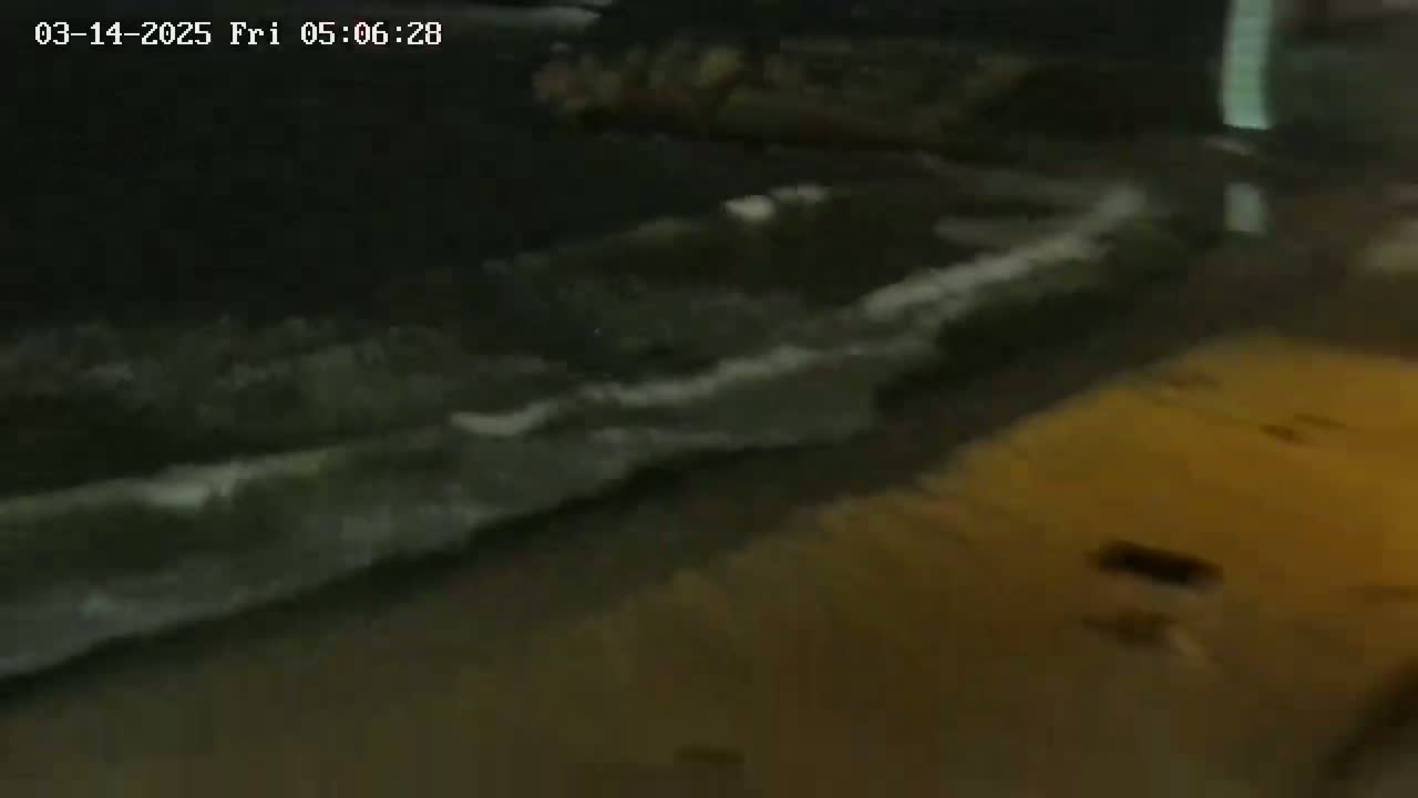 A dark, nighttime scene shows waves breaking on a sandy shore.