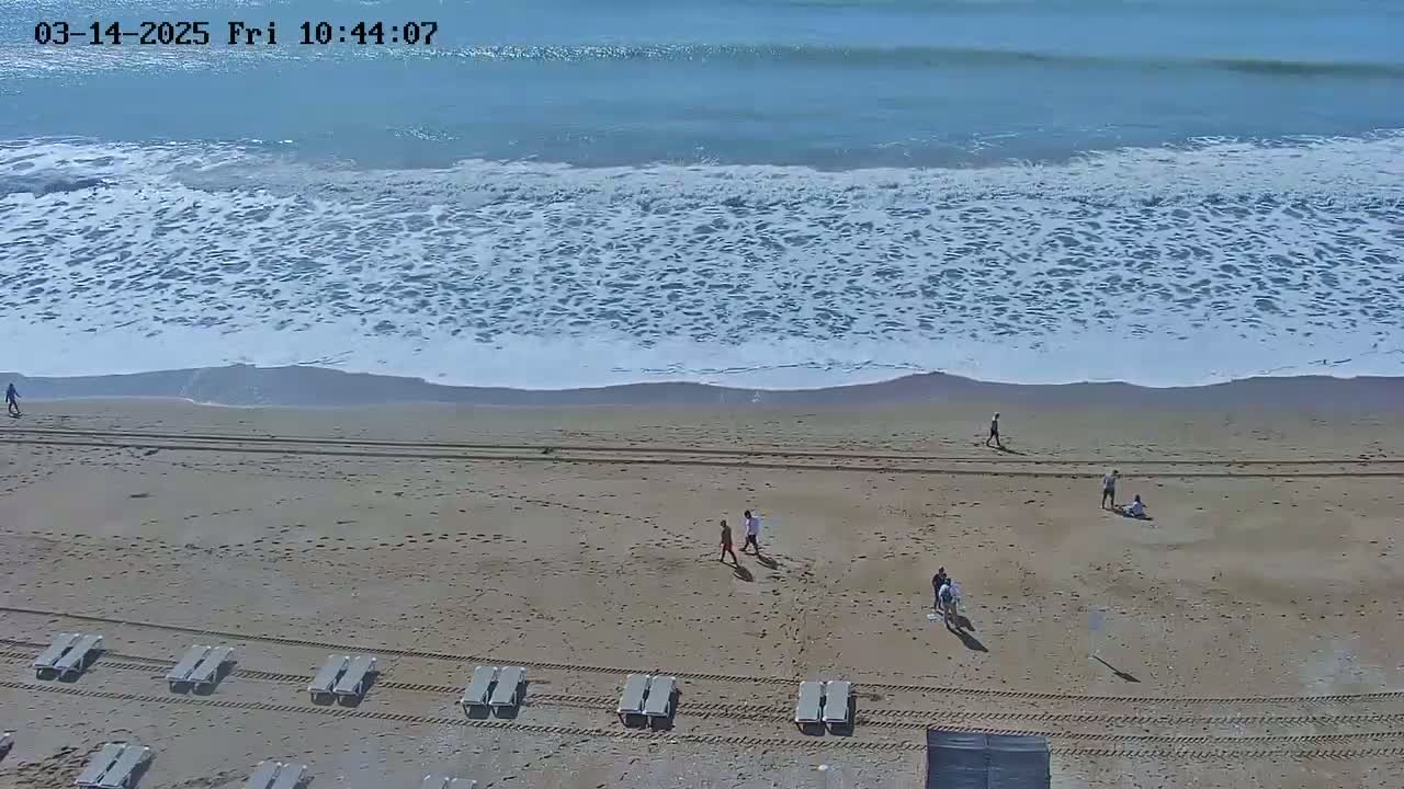 A sandy beach with several people walking and sitting, lined with empty lounge chairs, and met by a gently-lapping ocean under a mostly clear sky.