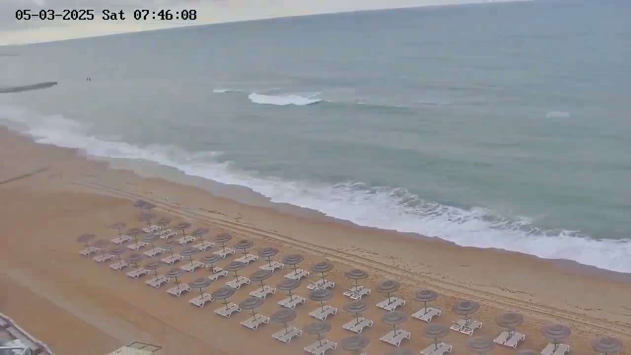 Rows of beach umbrellas and lounge chairs sit on a sandy beach next to a calm, gray ocean.