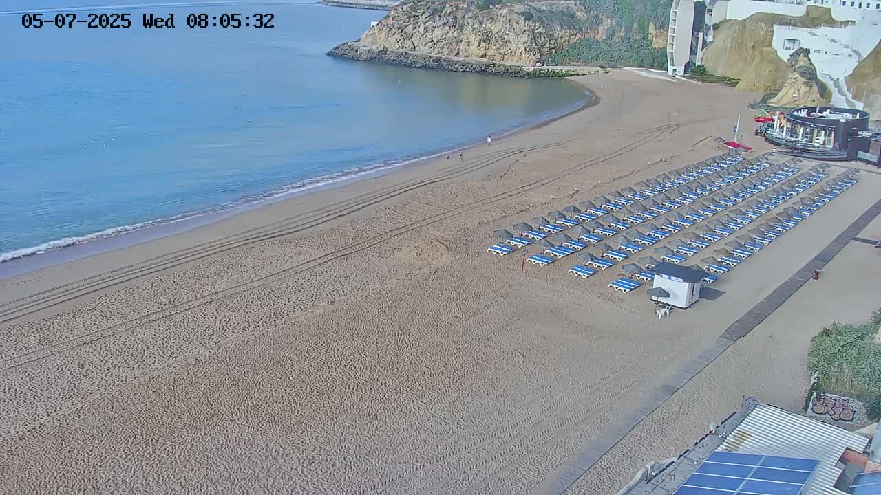 A sandy beach with rows of unoccupied beach chairs and umbrellas is adjacent to calm, blue ocean water under a clear sky.