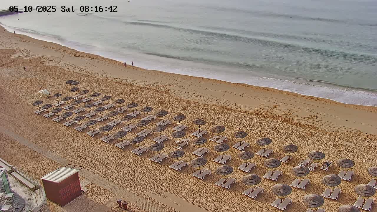 Rows of beach umbrellas and lounge chairs line a sandy beach next to a calm ocean.