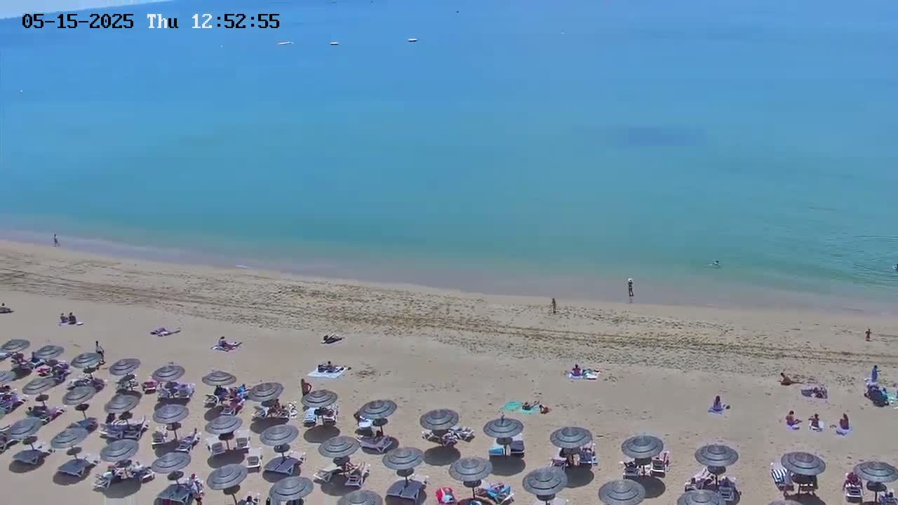 An aerial view shows a sandy beach with numerous dark umbrellas and beachgoers under a clear, bright blue sky.