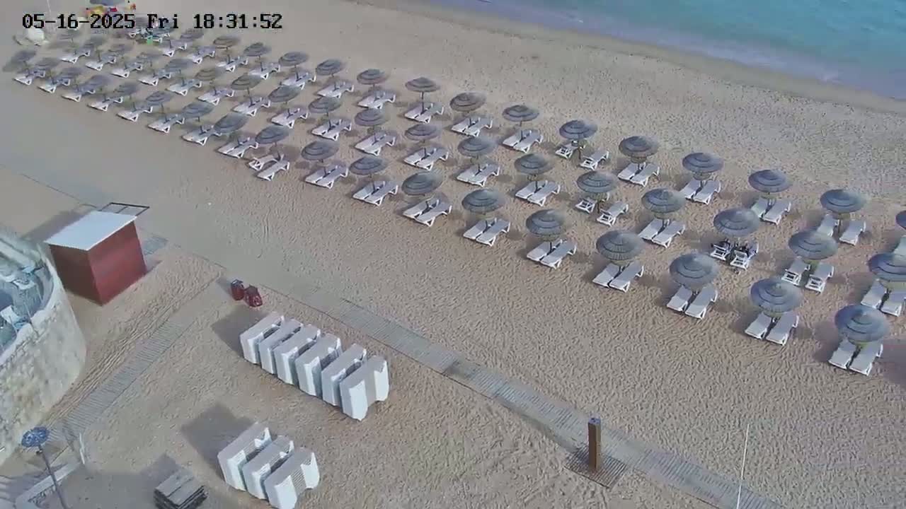 An aerial view shows rows of beach umbrellas and lounge chairs on a sandy beach next to calm ocean water.