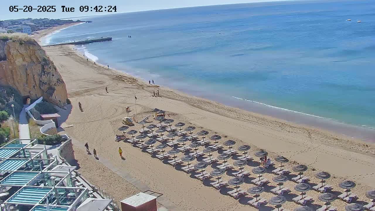 A sandy beach with numerous dark umbrellas and lounge chairs stretches along a calm, clear blue ocean under a sunny sky.
