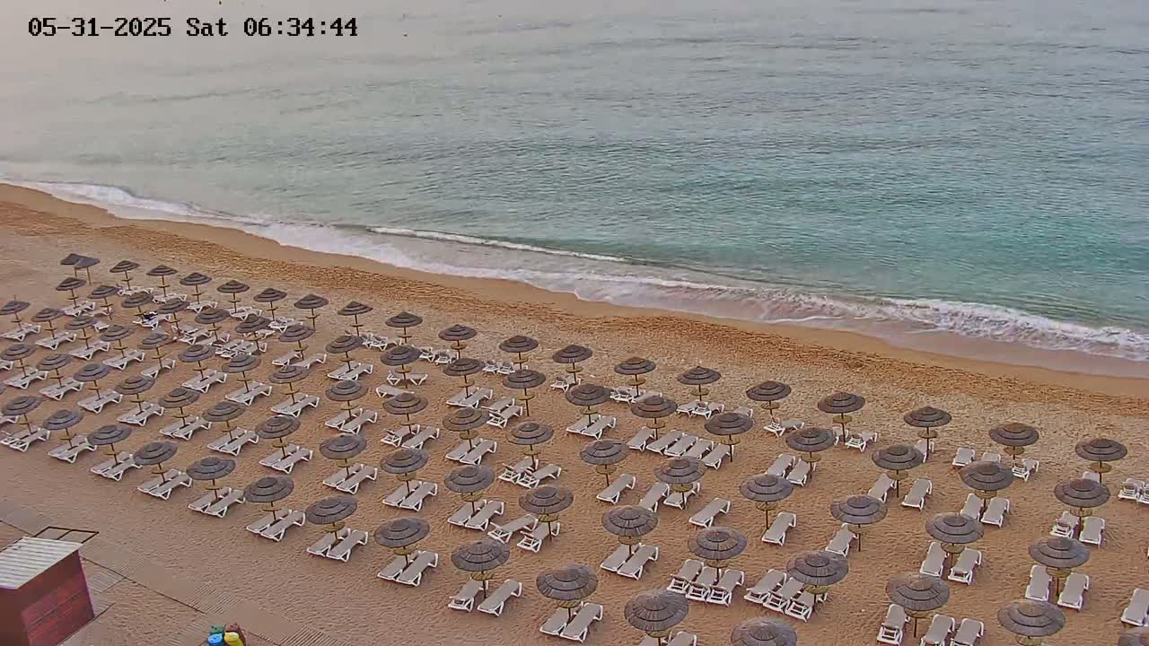 A sandy beach with rows of umbrellas and lounge chairs is next to a calm, light-blue ocean with small waves.
