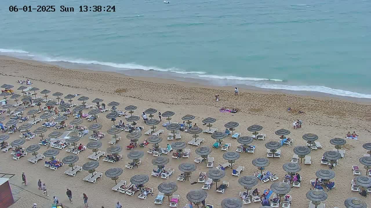 A sandy beach with numerous umbrellas and lounge chairs occupied by people, next to a calm, light-blue ocean under an overcast sky.