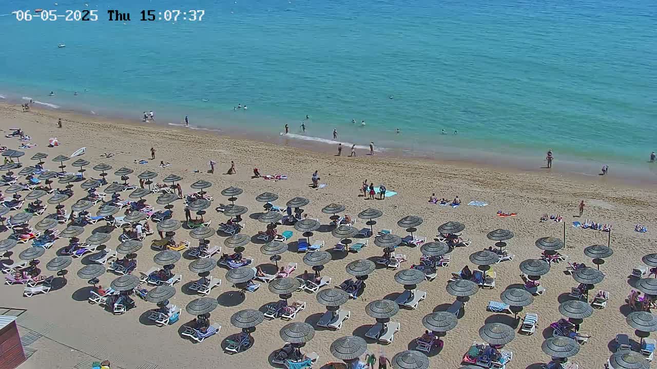 An aerial view shows a sandy beach with numerous umbrellas and beachgoers on a sunny day, next to a calm, turquoise ocean.