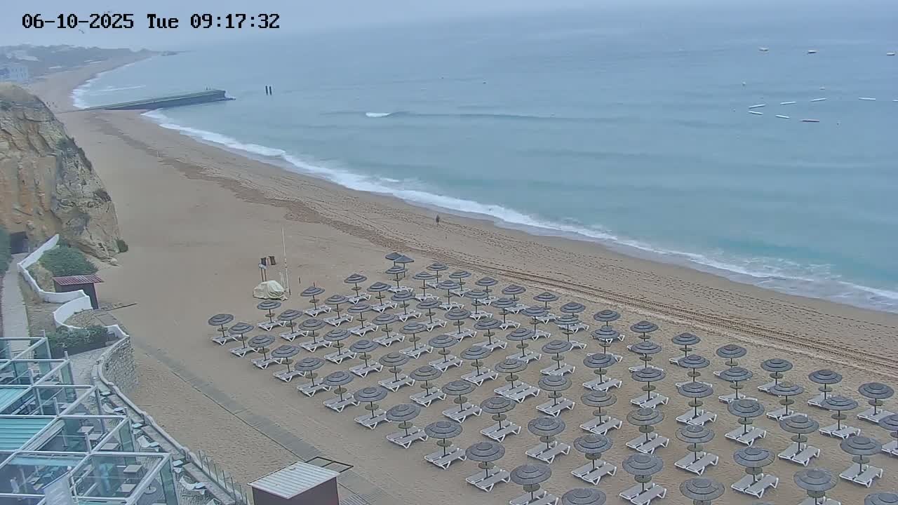A sandy beach with numerous umbrellas and lounge chairs sits beside a calm, light-blue ocean under an overcast sky.
