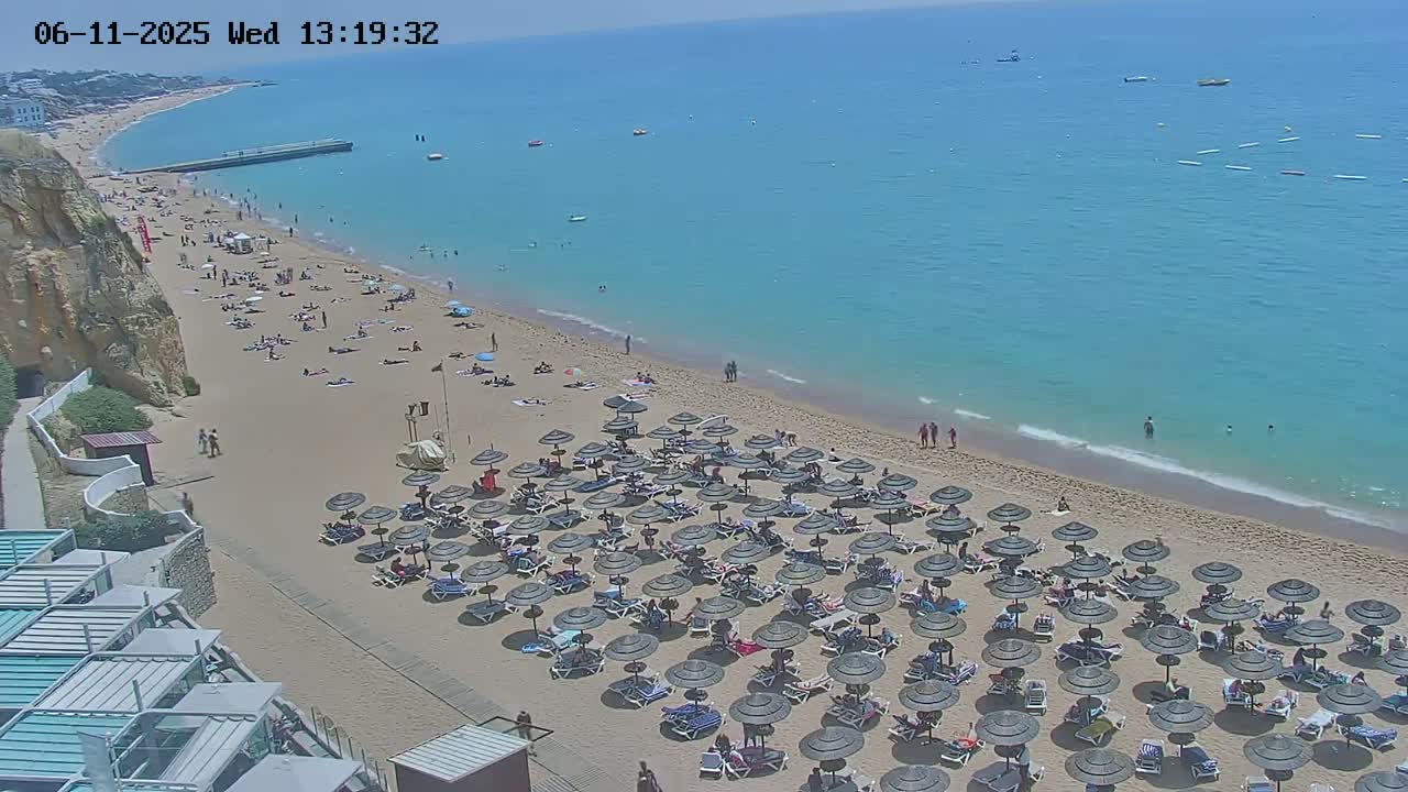 A sandy beach with numerous dark umbrellas and sunbathers stretches along a clear, blue ocean under a sunny sky.