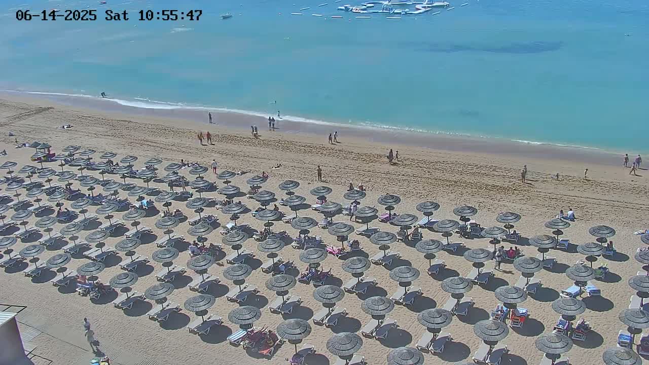 A sandy beach with numerous dark umbrellas and lounge chairs is situated next to a calm, light-blue ocean under sunny skies.