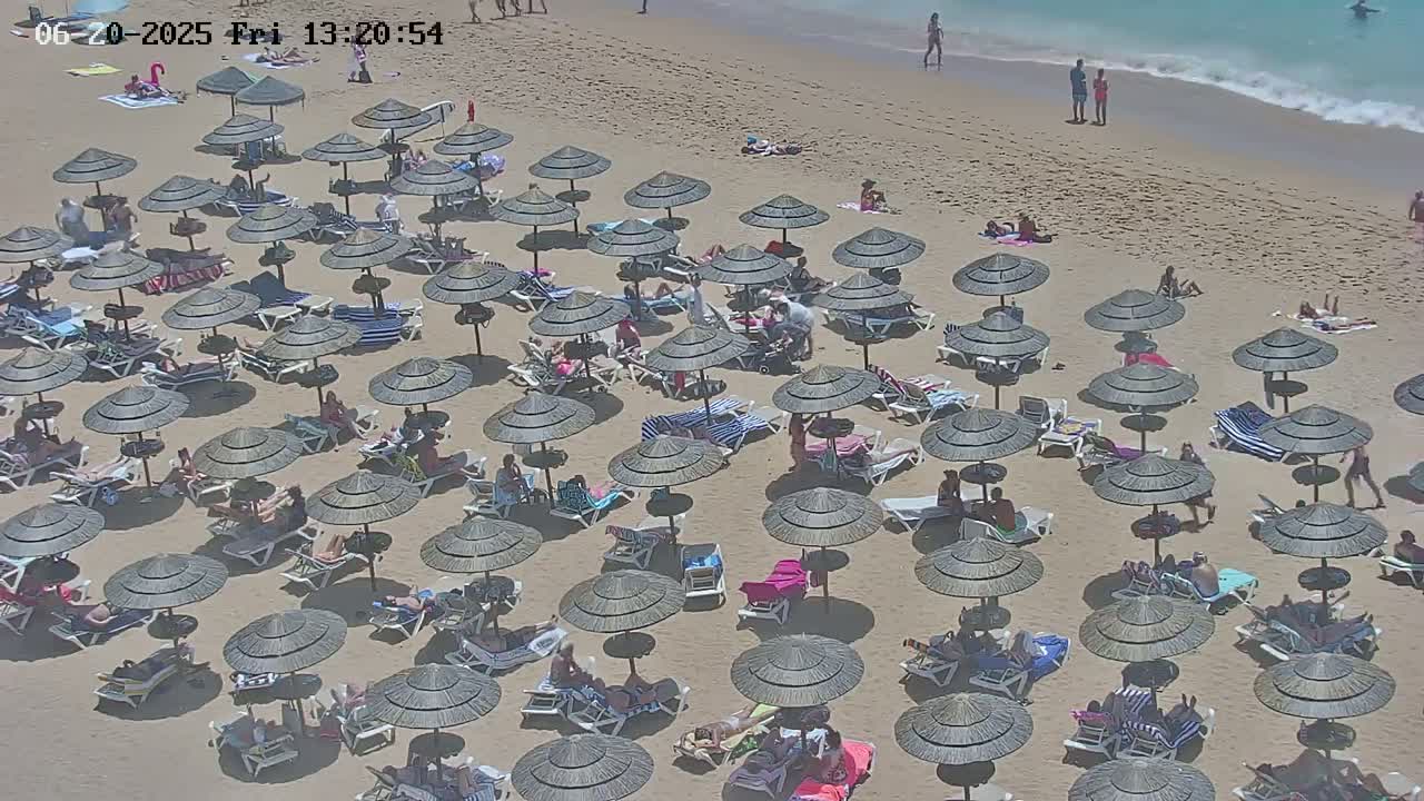 A sandy beach is covered in numerous thatched umbrellas and lounge chairs occupied by people on a sunny day.