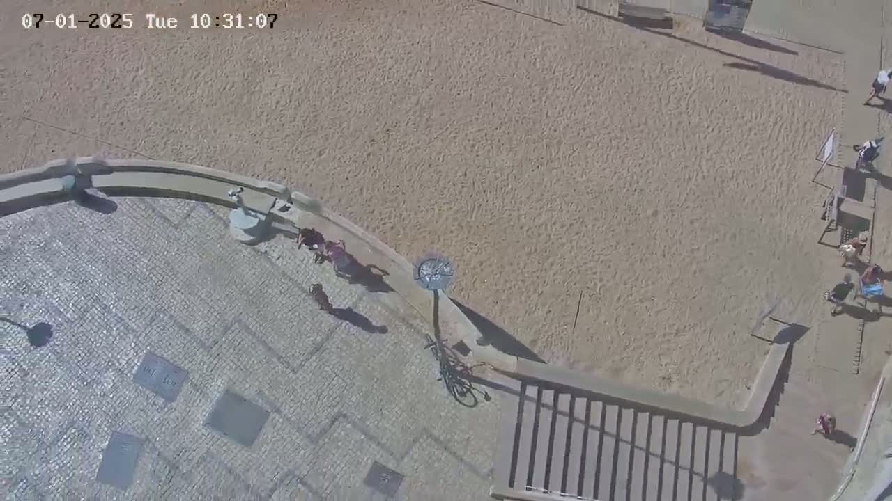 Playas de Albufeira Beach Live Cam - Faro, Algarve, Portugal