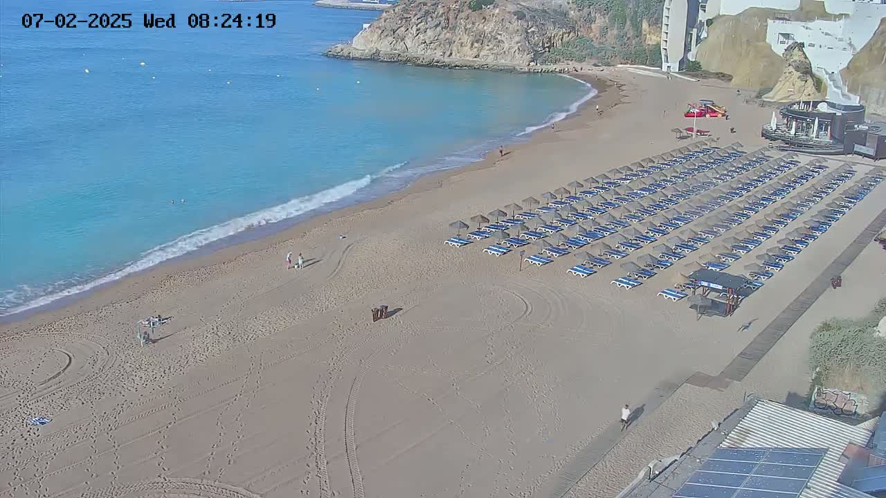 A sandy beach with rows of lounge chairs and umbrellas is situated next to a calm, blue ocean under sunny skies.