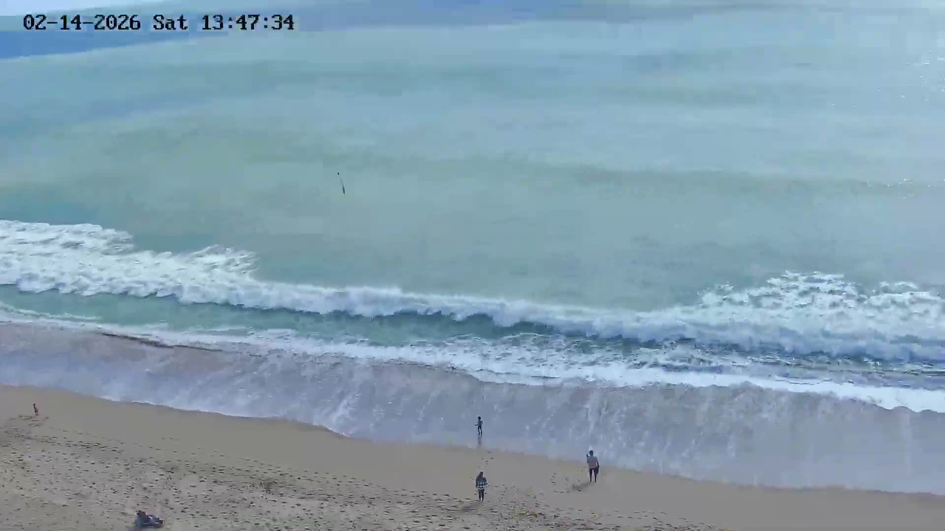 Playas de Albufeira Beach Live Cam - Faro, Algarve, Portugal