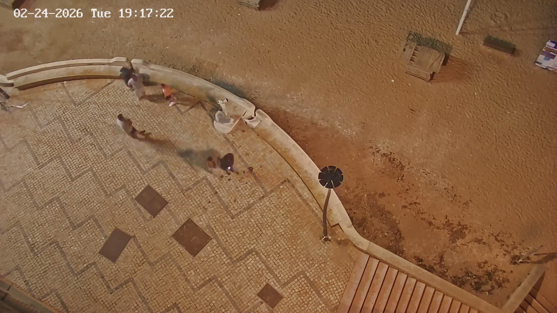 Playas de Albufeira Beach Live Cam - Faro, Algarve, Portugal