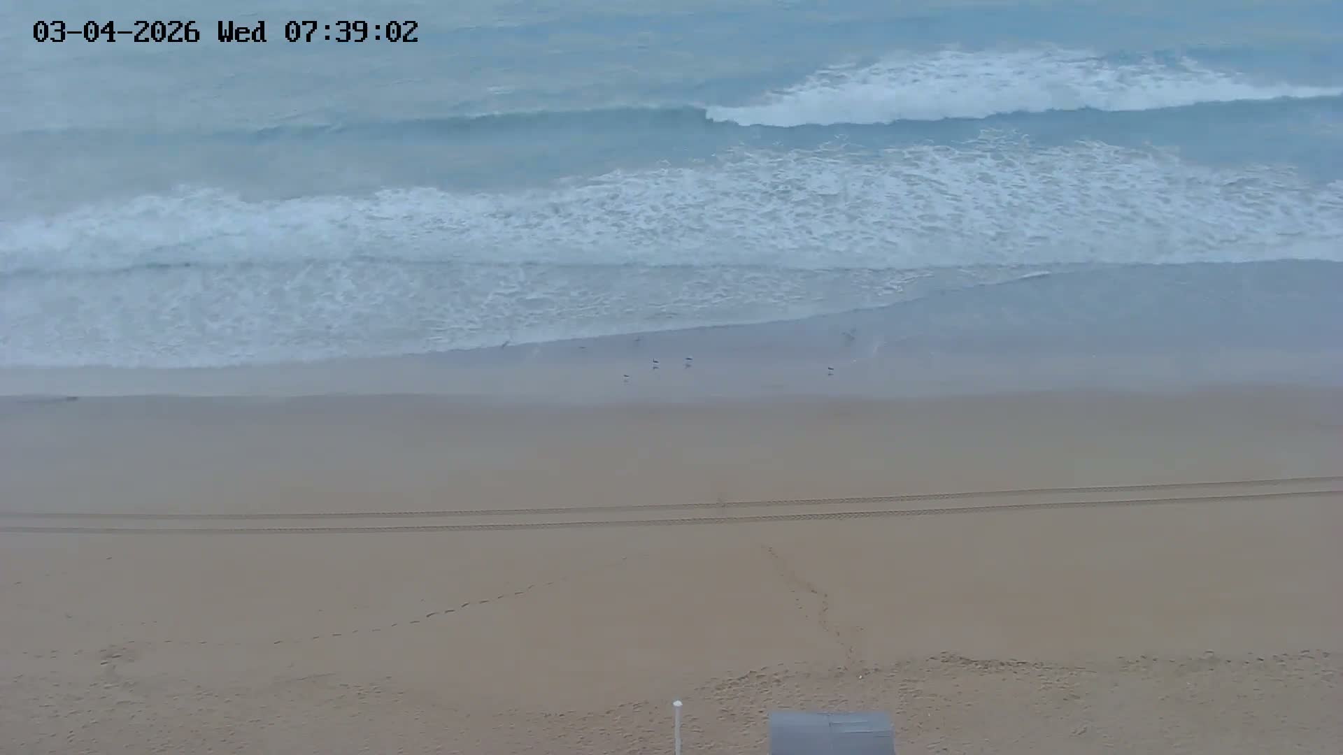 Playas de Albufeira Beach Live Cam - Faro, Algarve, Portugal