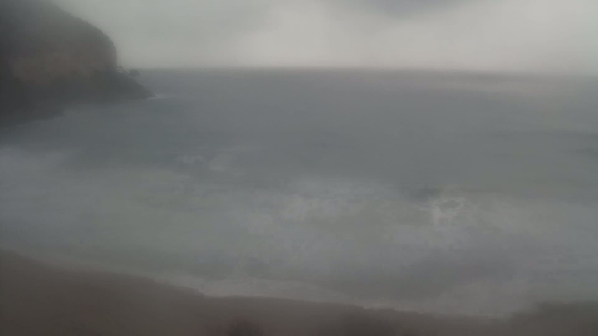 A foggy, overcast day shows a dark cliff overlooking a gray ocean with small waves breaking on a beach.