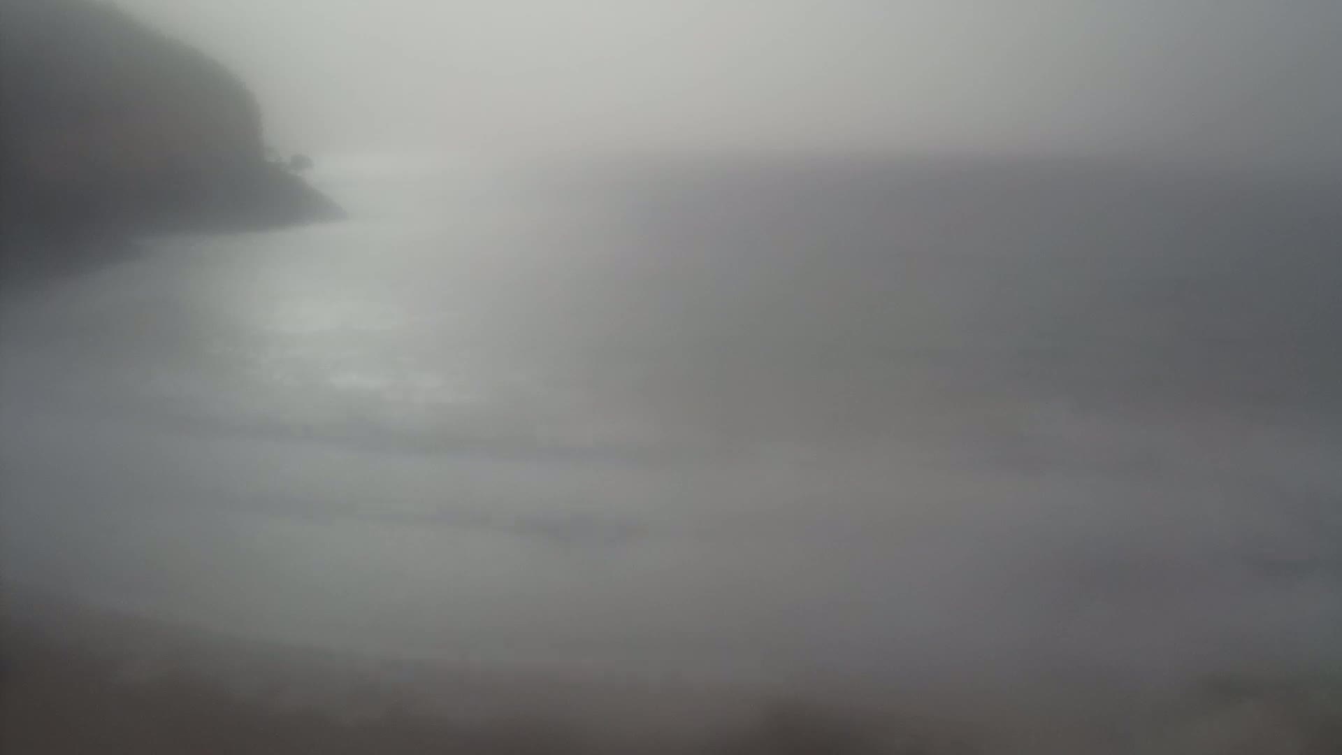 A blurry, foggy view shows a dark shoreline and a gray body of water.
