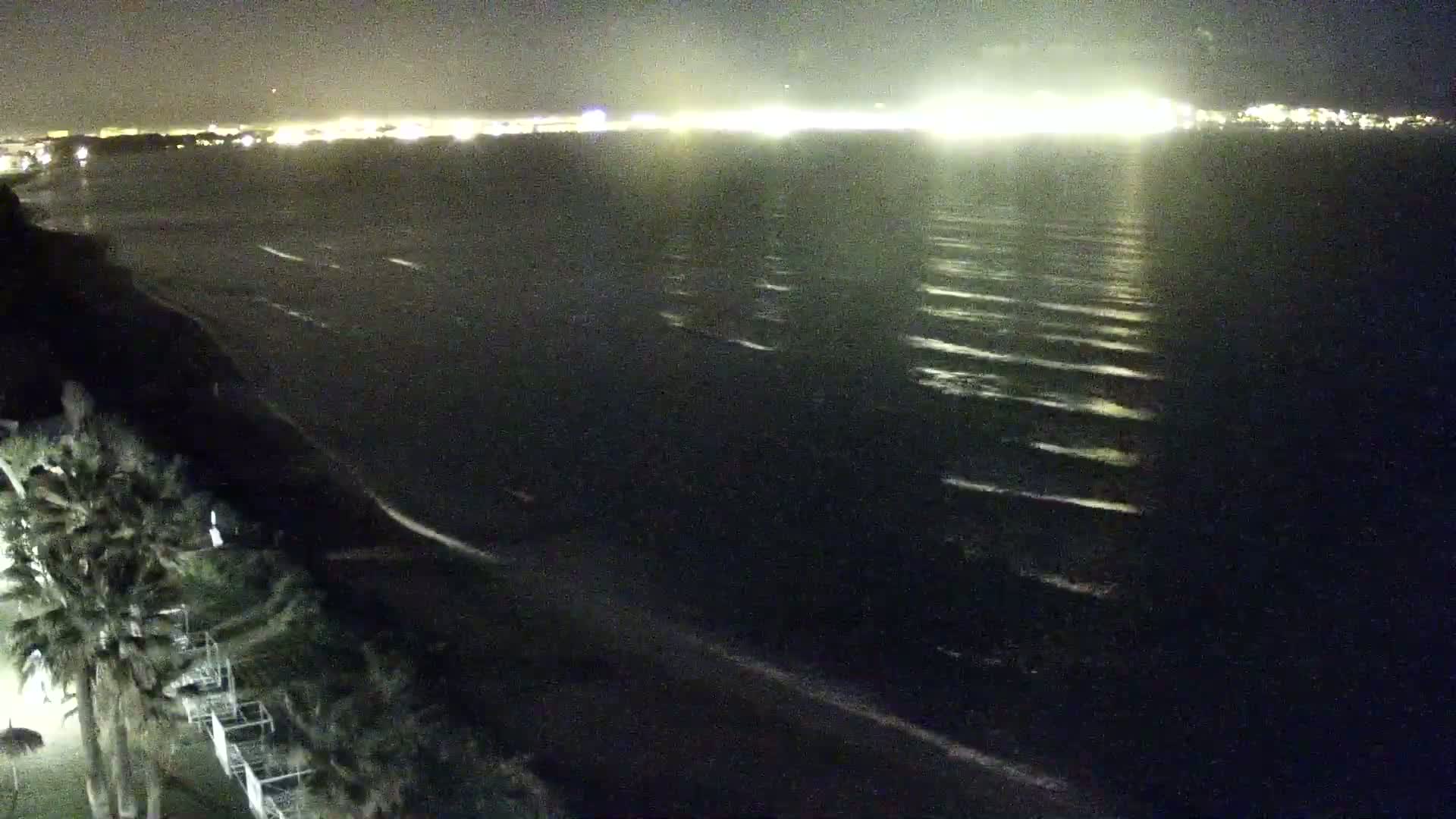 A nighttime view shows a dark ocean with small waves lapping a sandy beach, with palm trees and a city's lights visible in the distance.
