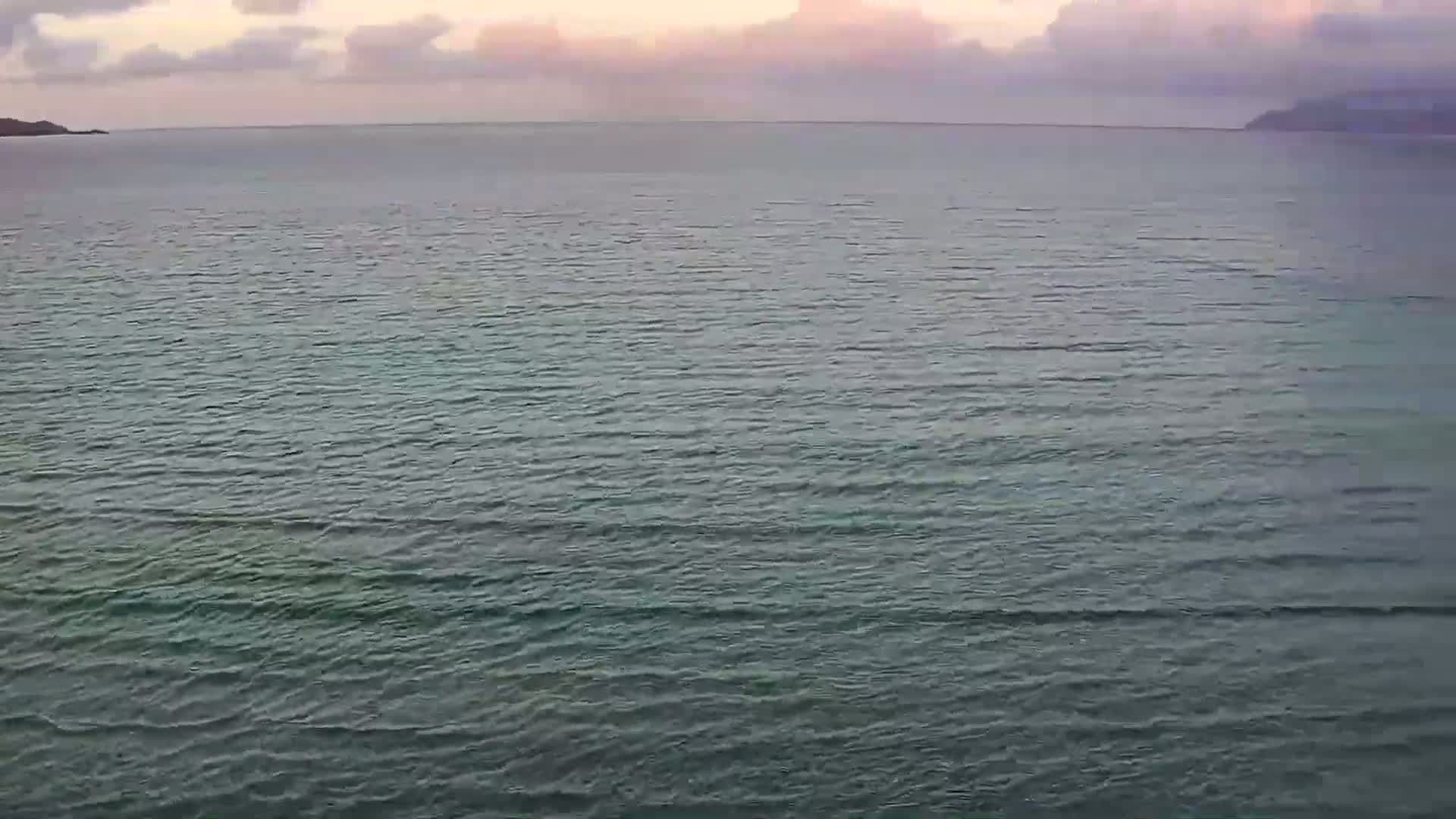 A calm body of water with small waves stretches to a distant shoreline under a cloudy, pinkish sky.