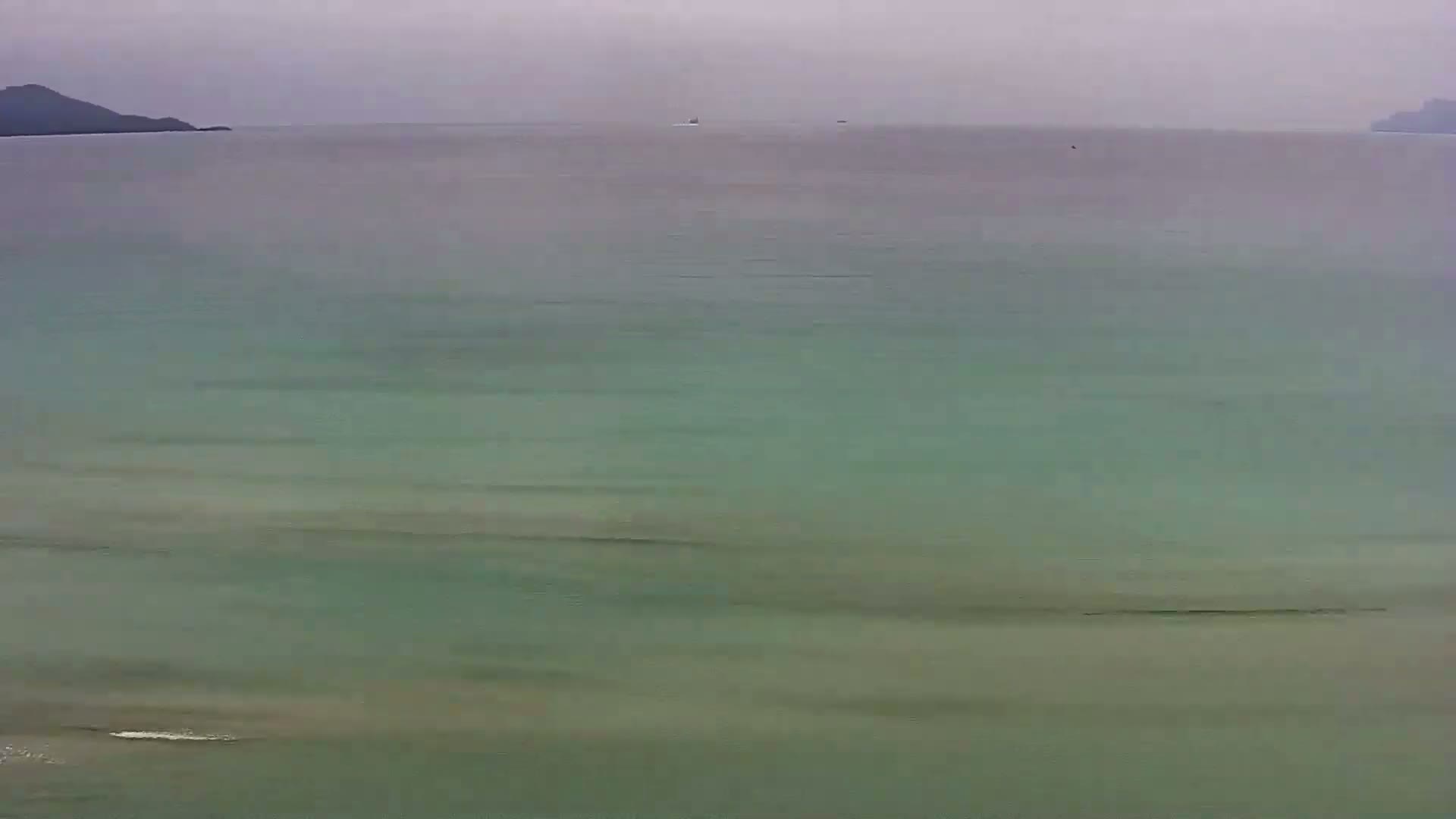 A calm, green-tinged body of water stretches to the horizon under an overcast sky, with a distant shoreline visible.