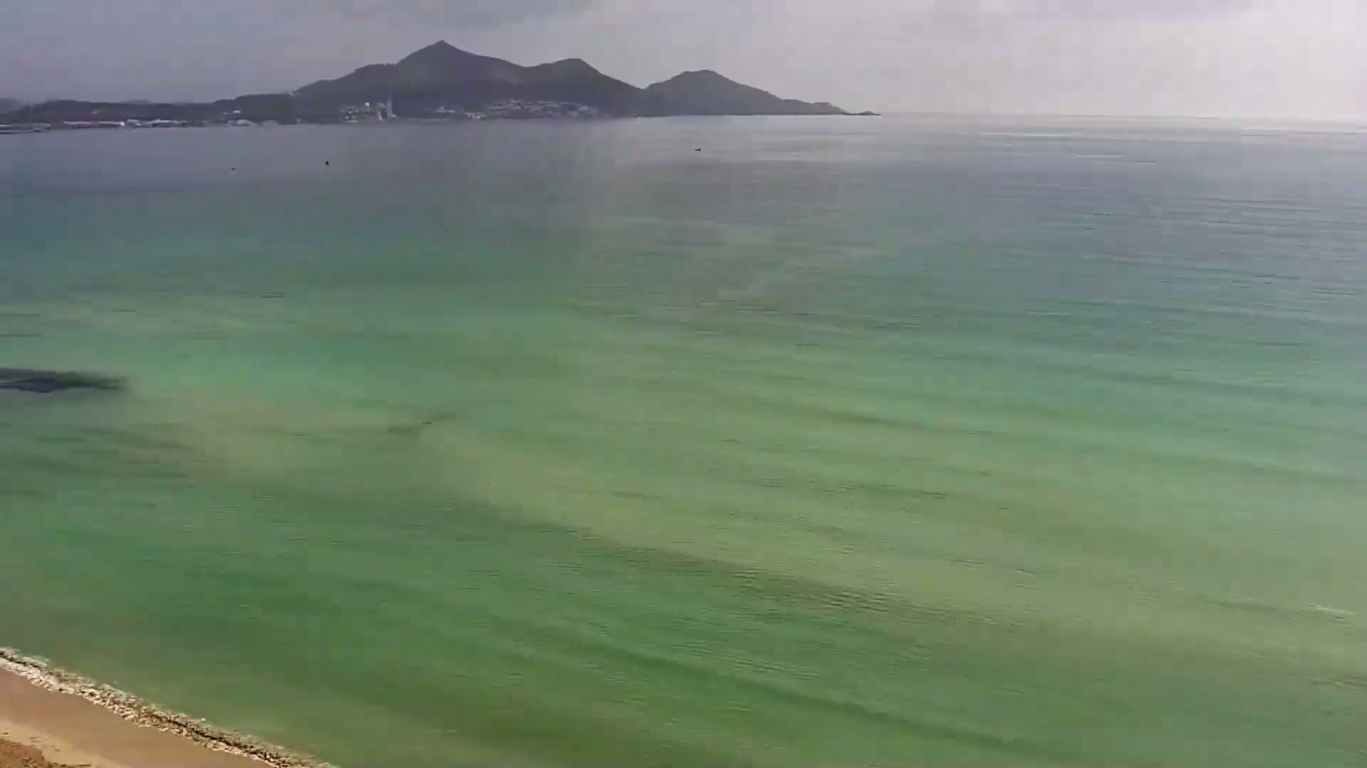 A sandy beach meets a calm, green-tinged ocean under an overcast sky, with a distant mountain range visible on the horizon.