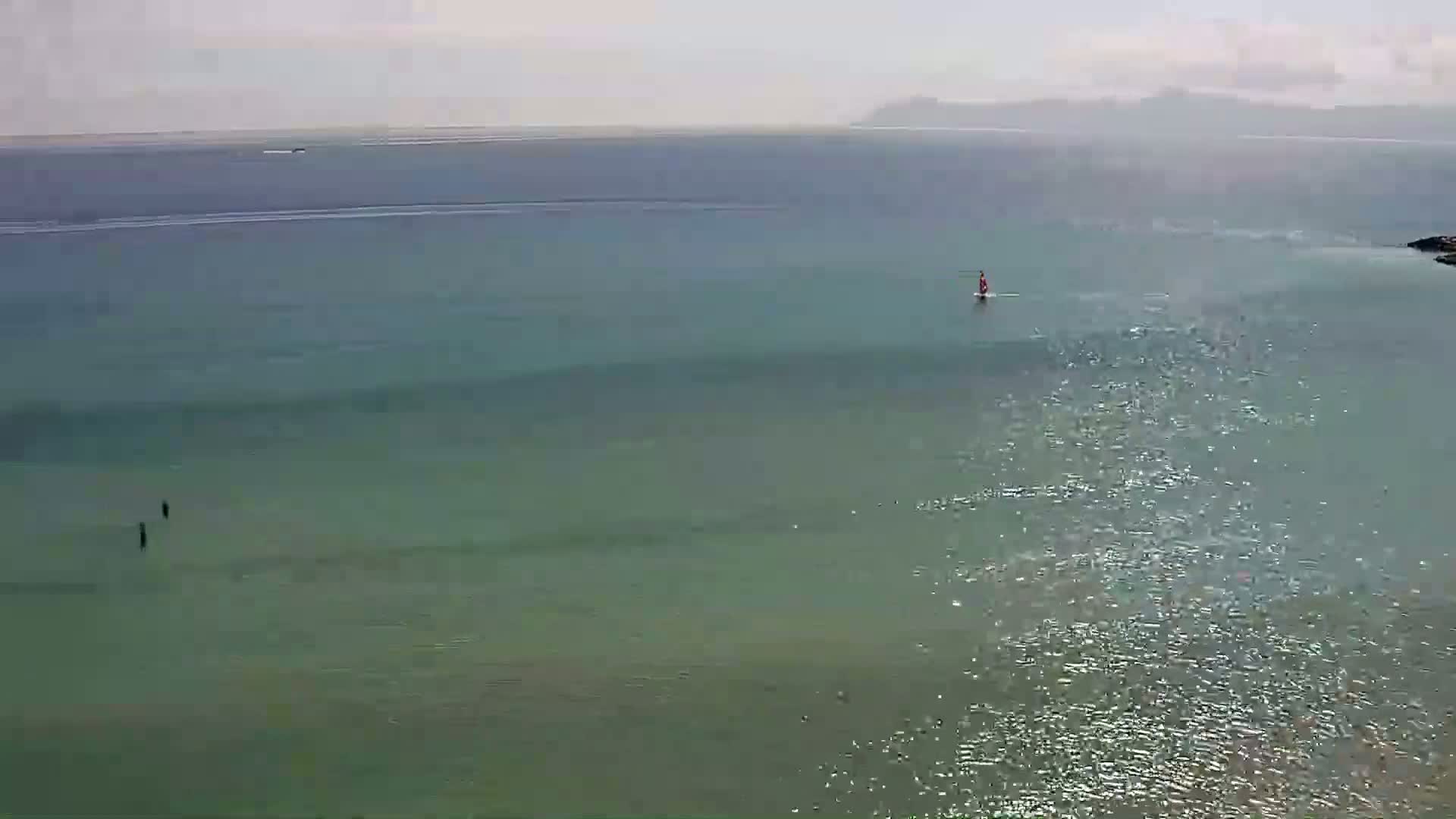 A person windsurfs on a calm, light-green sea under a hazy sky.
