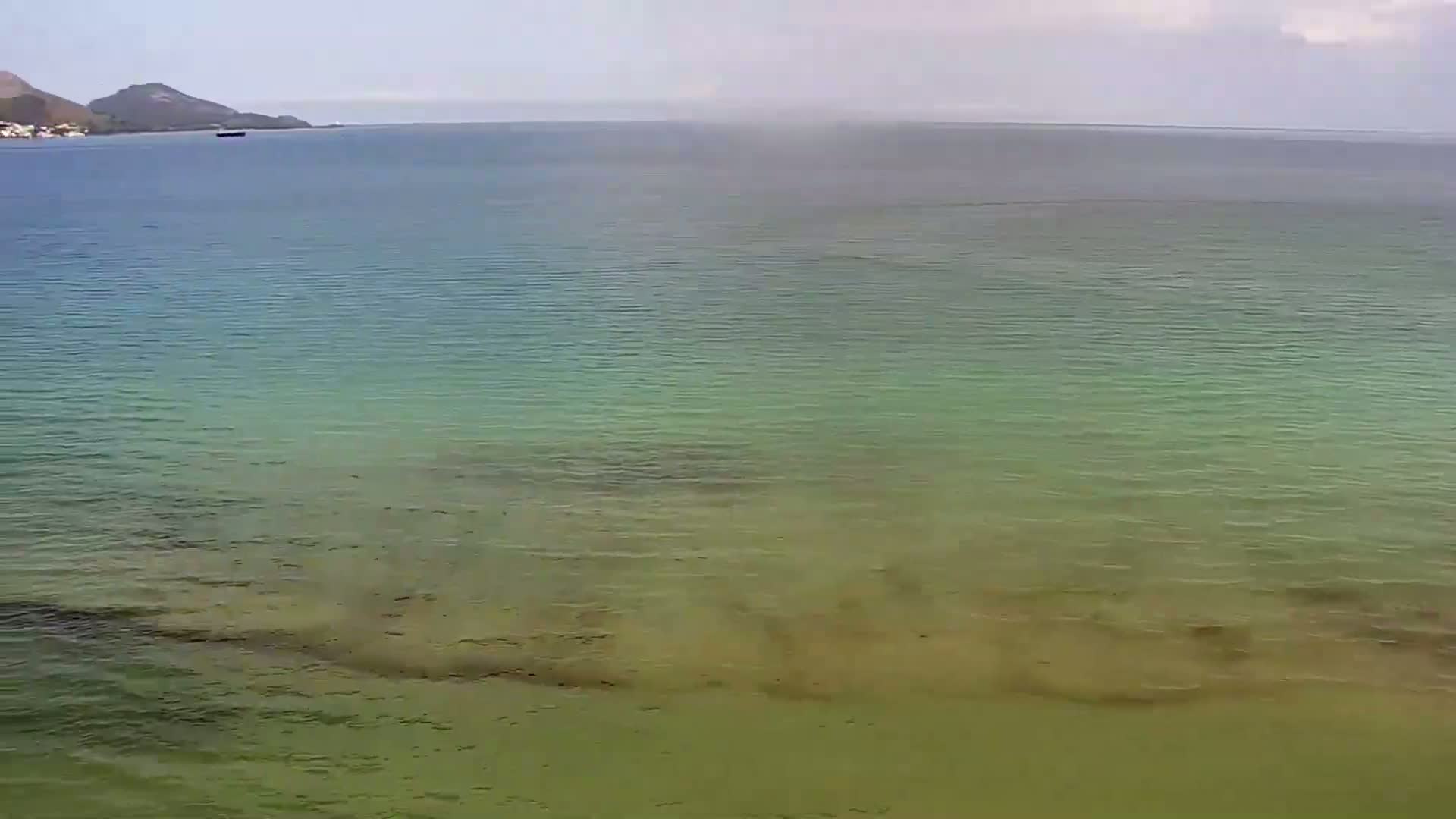 A calm, clear body of water, ranging from teal to olive green in color, stretches out to a distant mountain range under a mostly cloudy sky.