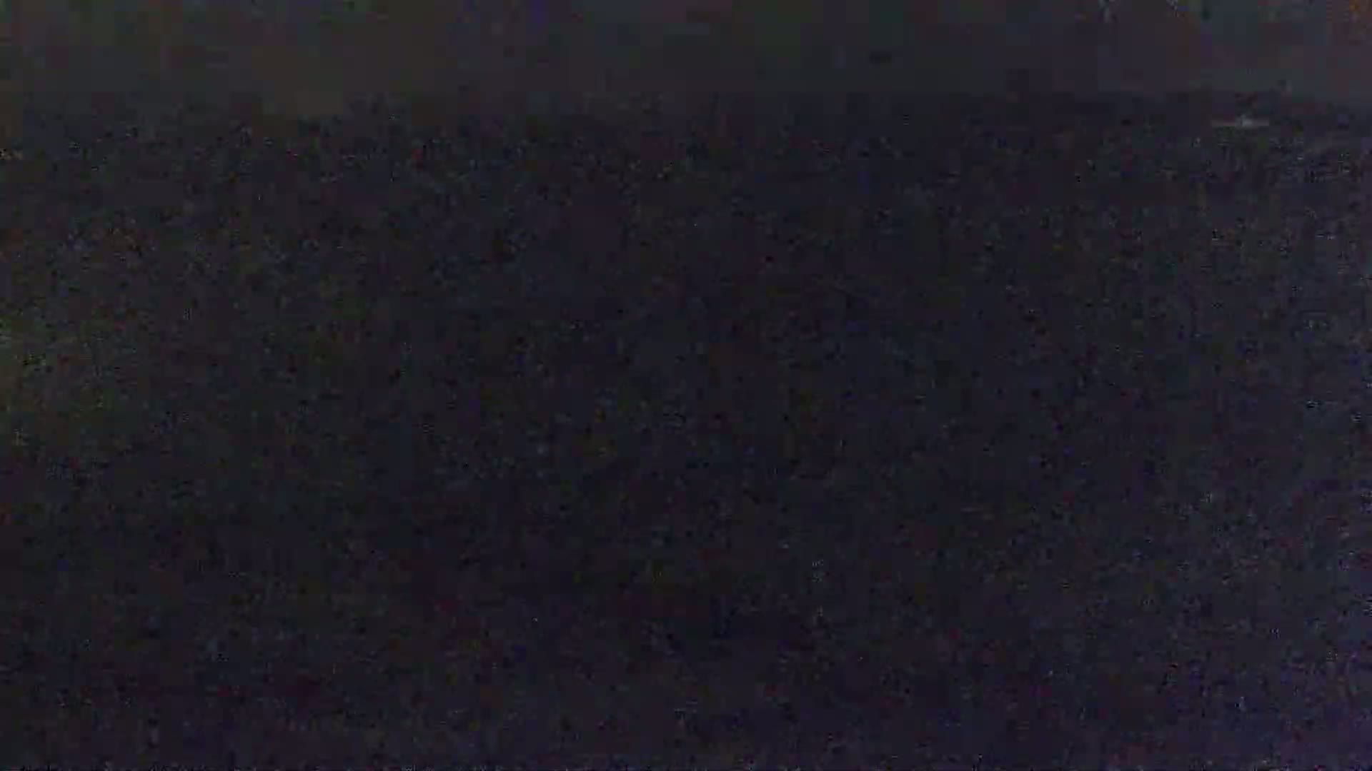 A dark, grainy image shows an indistinct mass of dark objects.