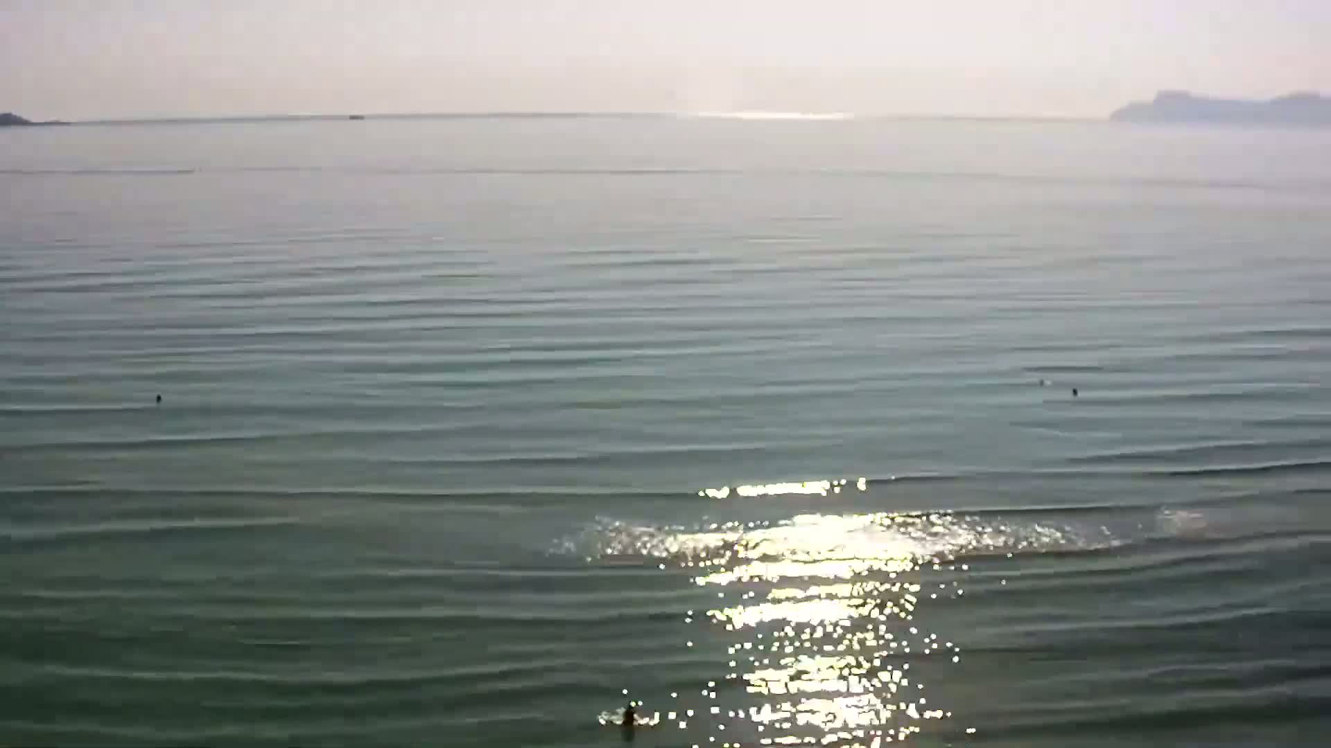 A calm sea with small waves reflects sunlight, and a few people are swimming near the shore on a sunny day.