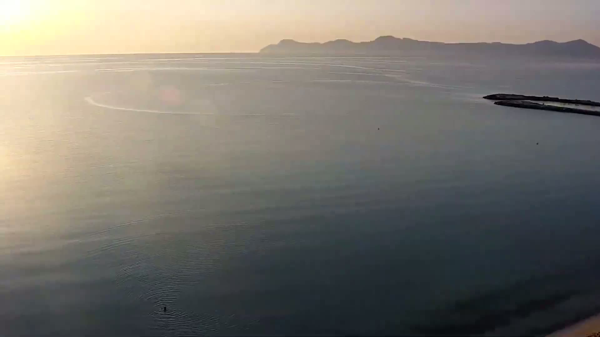 Playa de Muro Beach Live Cam - Mallorca, Balearic Islands, Spain