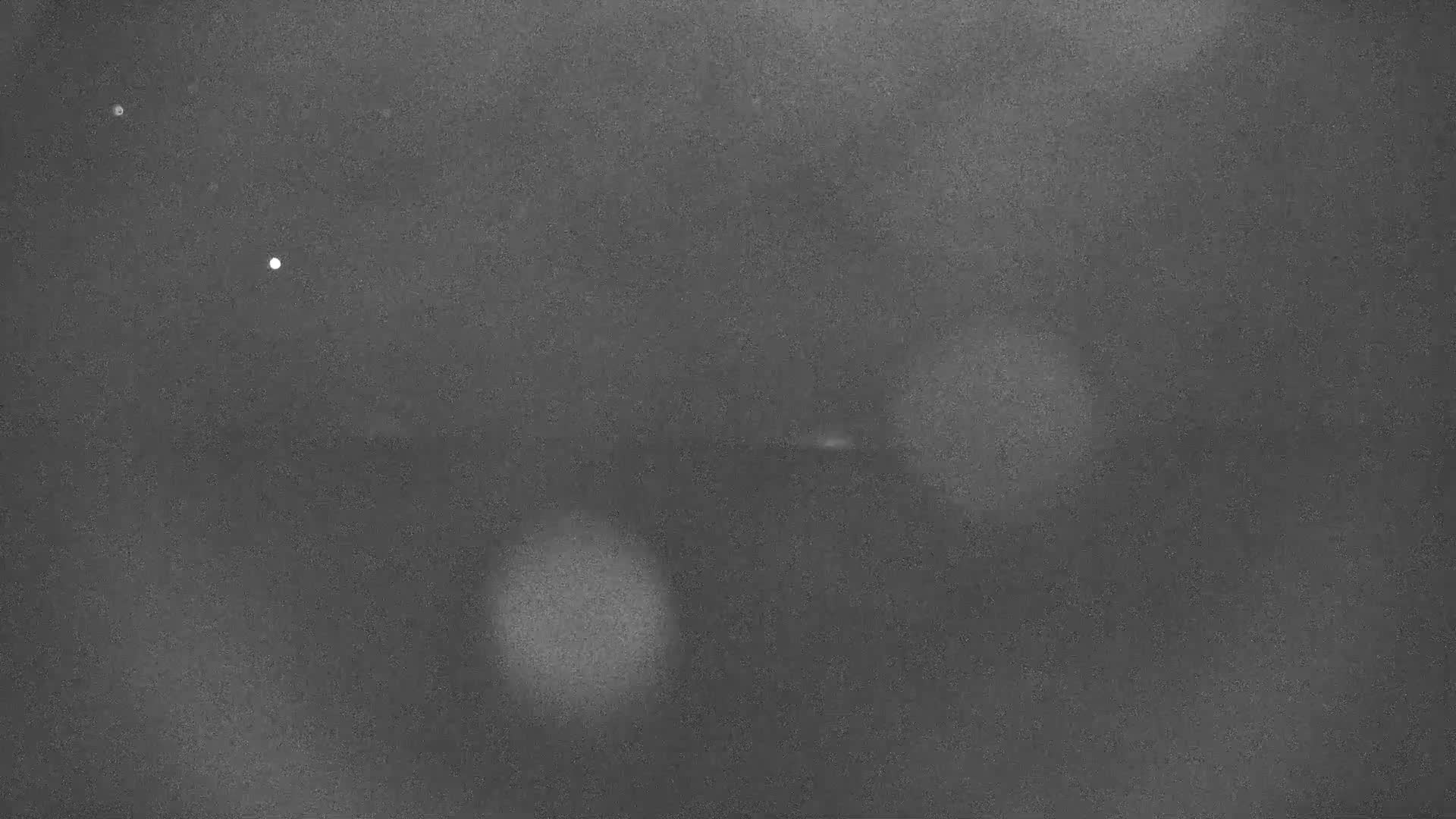 Playa de Muro Beach Live Cam - Mallorca, Balearic Islands, Spain