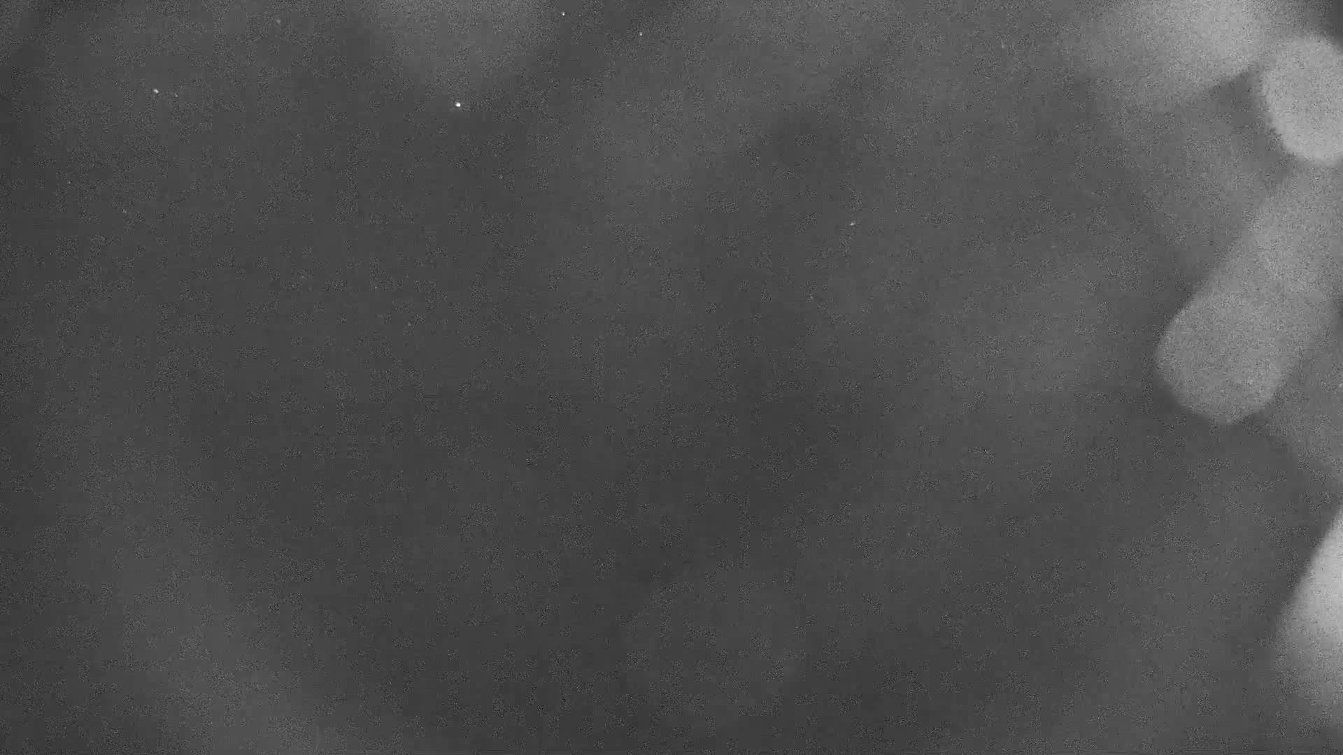 Playa de Muro Beach Live Cam - Mallorca, Balearic Islands, Spain