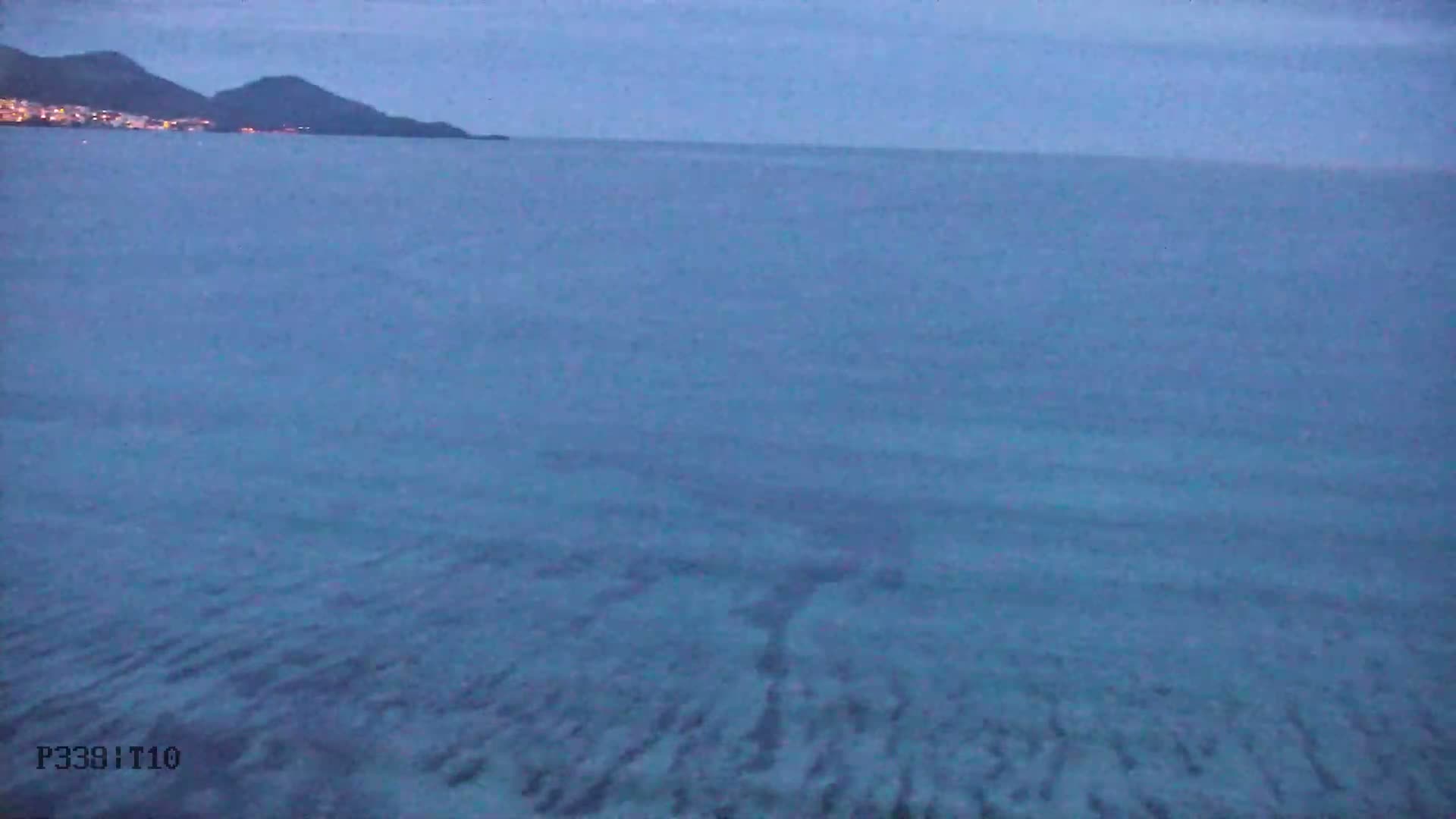 Playa de Muro Beach Live Cam - Mallorca, Balearic Islands, Spain