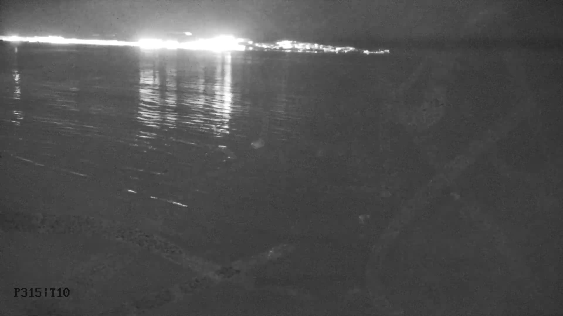 Playa de Muro Beach Live Cam - Mallorca, Balearic Islands, Spain