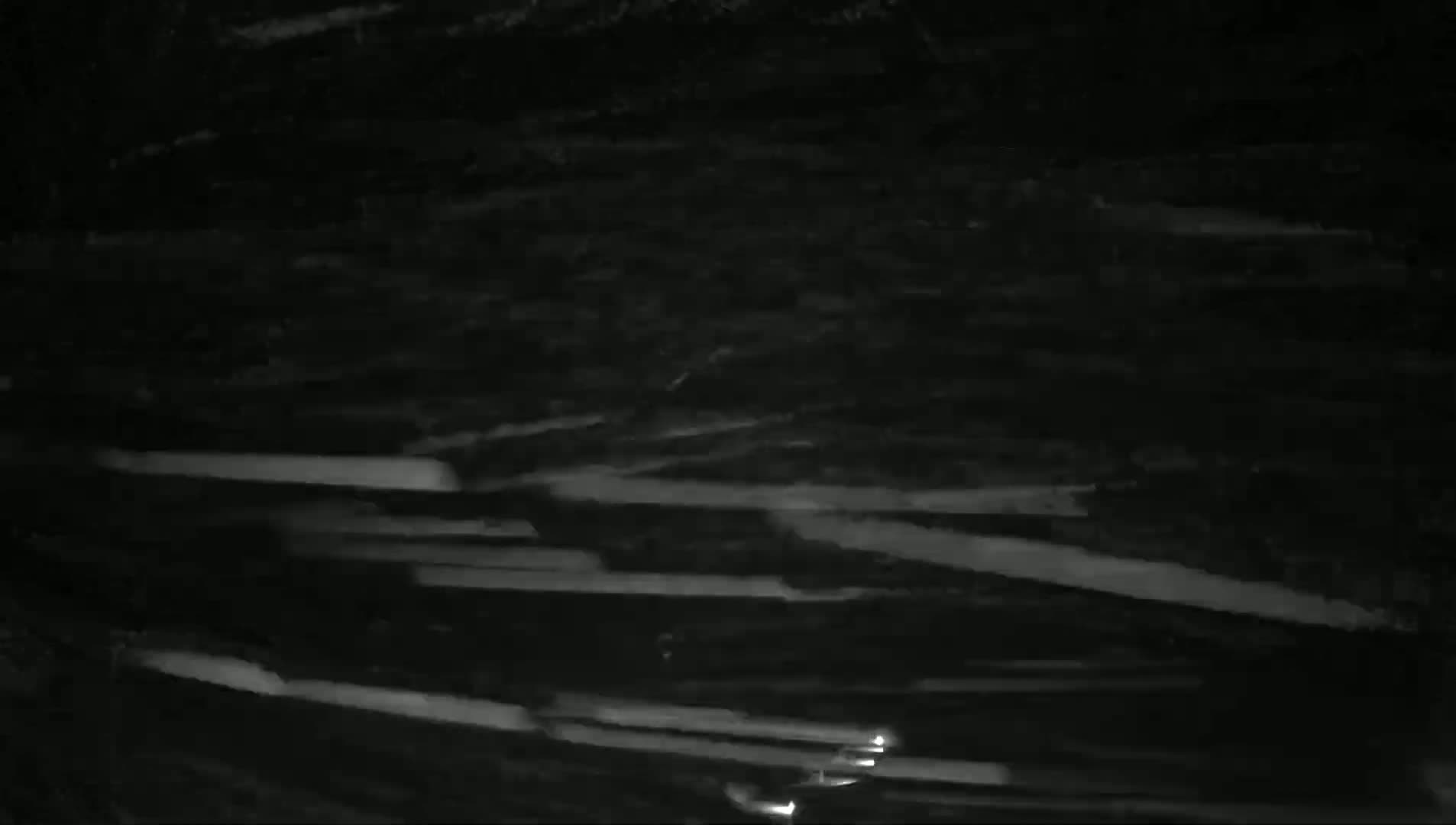 A nighttime, snow-covered road is visible with a few vehicle lights in the distance.