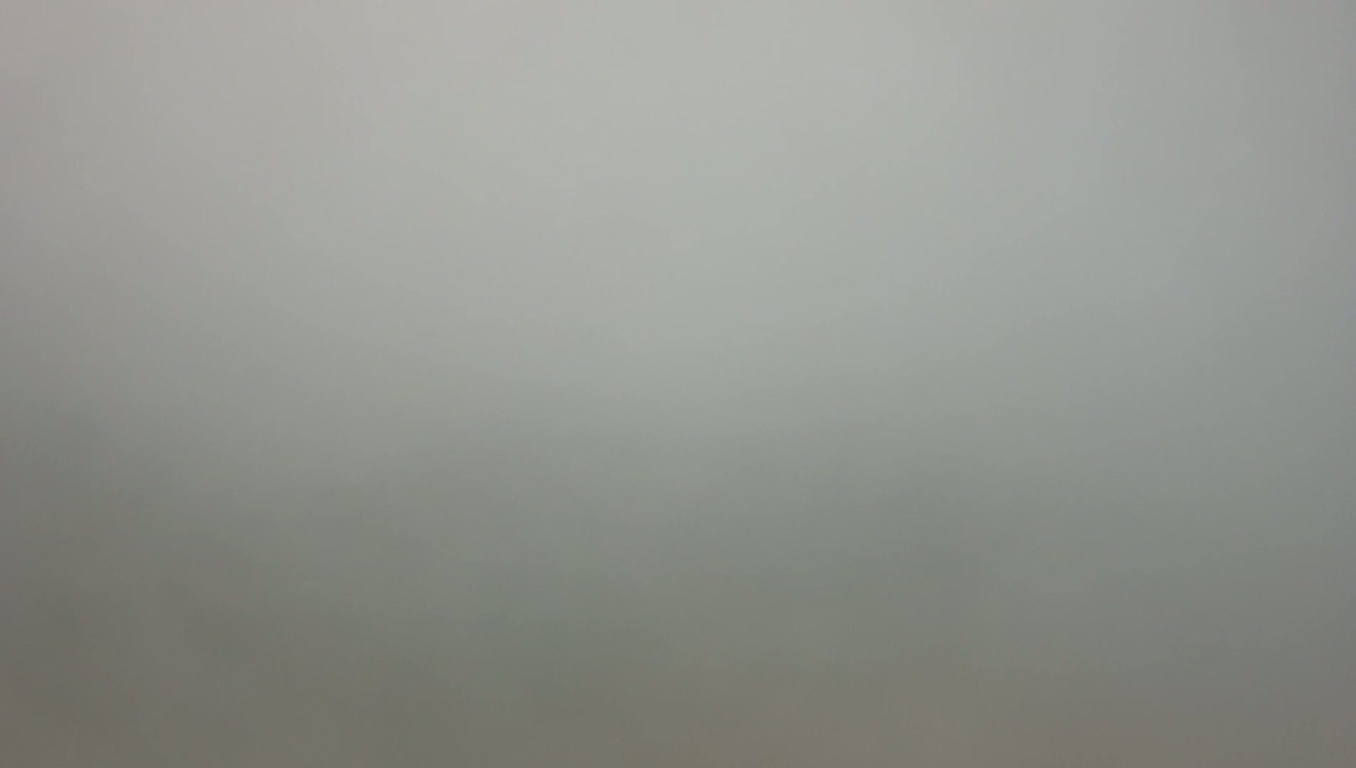A uniformly gray, foggy scene is visible.